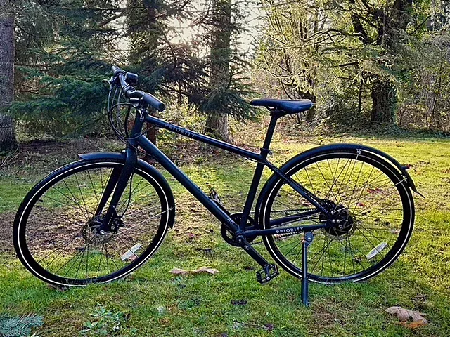 Priority Bicycle Continuum Onyx Belt Drive Black